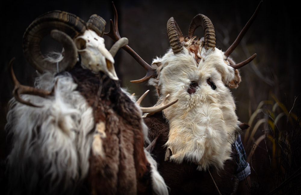 Platz 8 Sieglinde Senser